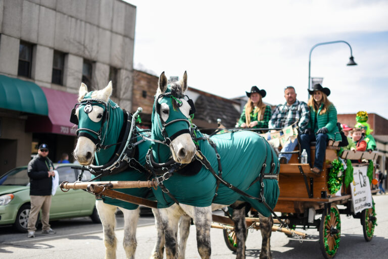 People riding a horse-drawn carriage at a parade